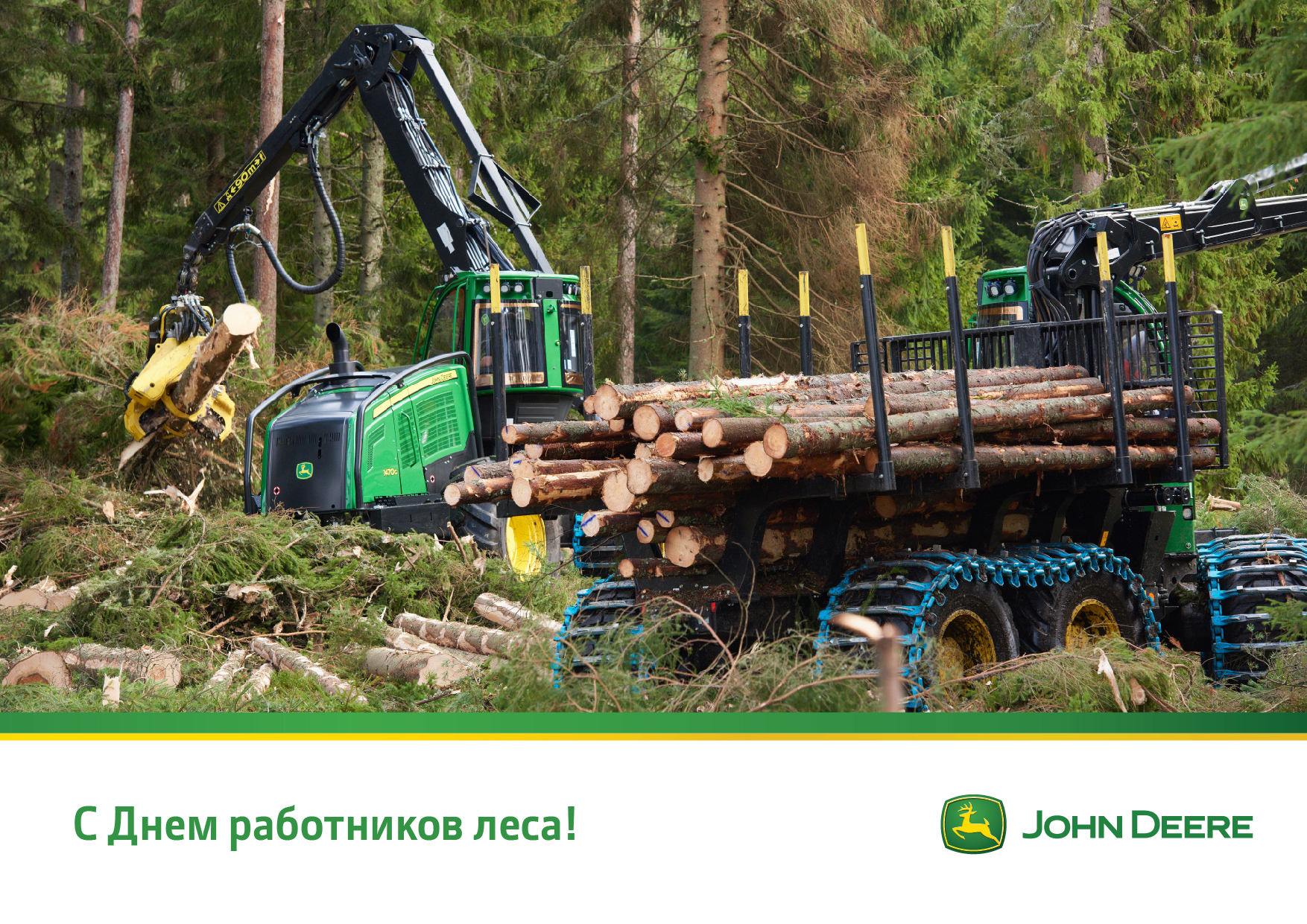 С Днем работника леса! в Краснодаре