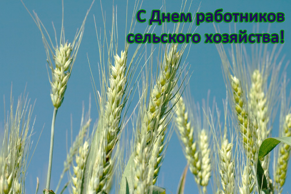 Специальные условия для сельхозпредприятий! в Краснодаре